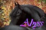Mon esprit libre